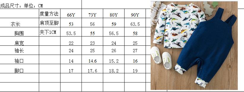 Toddler Boys Dinosaur Long Sleeve Top & Pants Boy Wholesale Clothing - PrettyKid