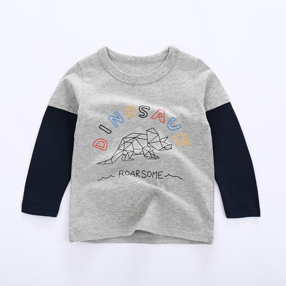Toddler Boys Dinosaur Printed Long Sleeve Top Wholesale Boys Clothing - PrettyKid