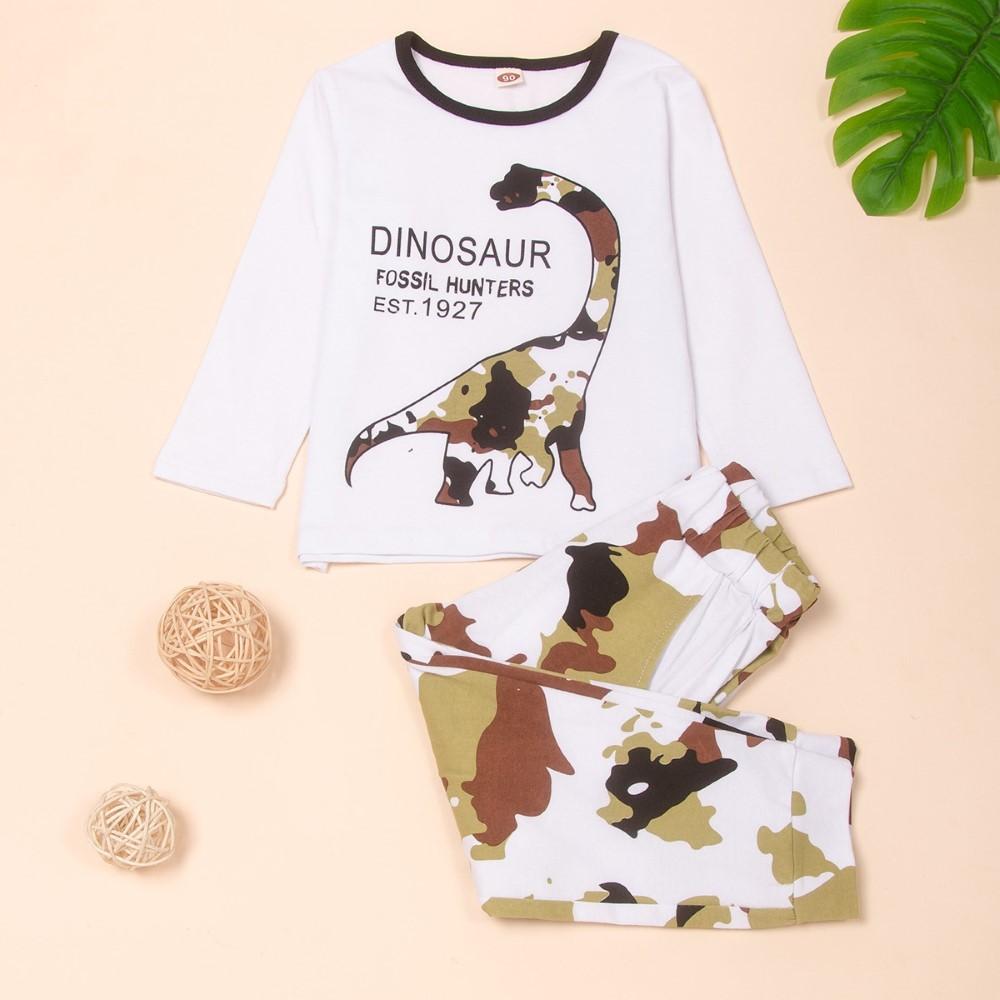 Toddler Boys Dinosaur Printed Top & Pants Wholesale Boys Clothing - PrettyKid