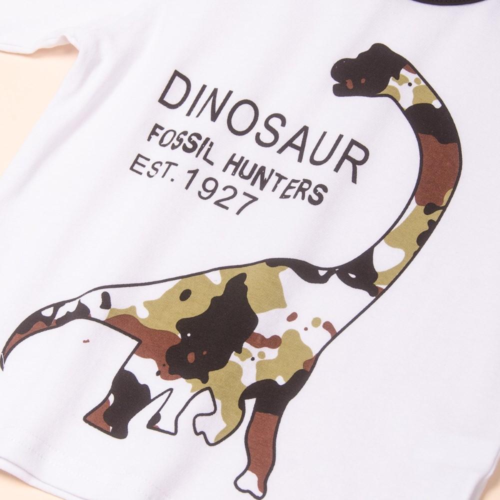 Toddler Boys Dinosaur Printed Top & Pants Wholesale Boys Clothing - PrettyKid