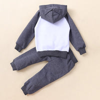 Toddler Girls Cartoon Bat Hooded Top & Pants Wholesale Girls Clothin - PrettyKid