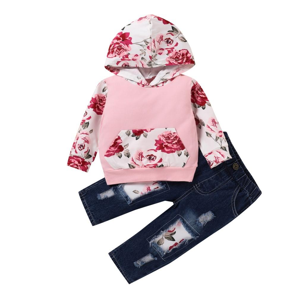 Toddler Girls Flower Printed Long Sleeve Top & Pants Wholesale Girl Clothing - PrettyKid