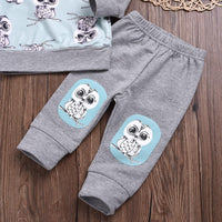 Unisex Owl Cartoon Printed Hooded Top & Pants Boys Casual Suits - PrettyKid