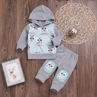 Unisex Owl Cartoon Printed Hooded Top & Pants Boys Casual Suits - PrettyKid