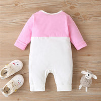 Baby Unisex Rabbit Long Sleeve Cute Romper Baby Clothes Suppliers - PrettyKid