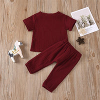 Baby Unisex Solid Color Short Sleeve Top & Pants Babywear Wholesale - PrettyKid