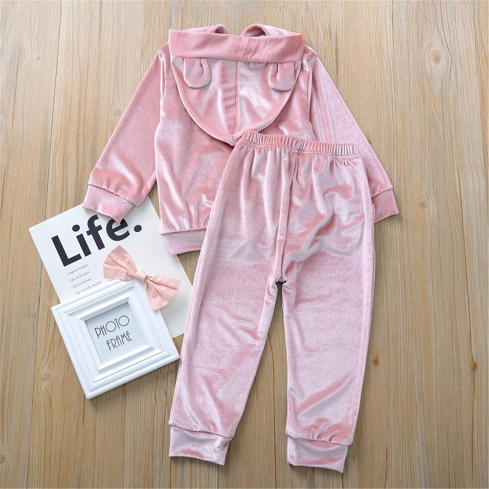 Toddler Girls Velvet Solid Hooded Long Sleeve Top & Pants Girl Wholesale - PrettyKid