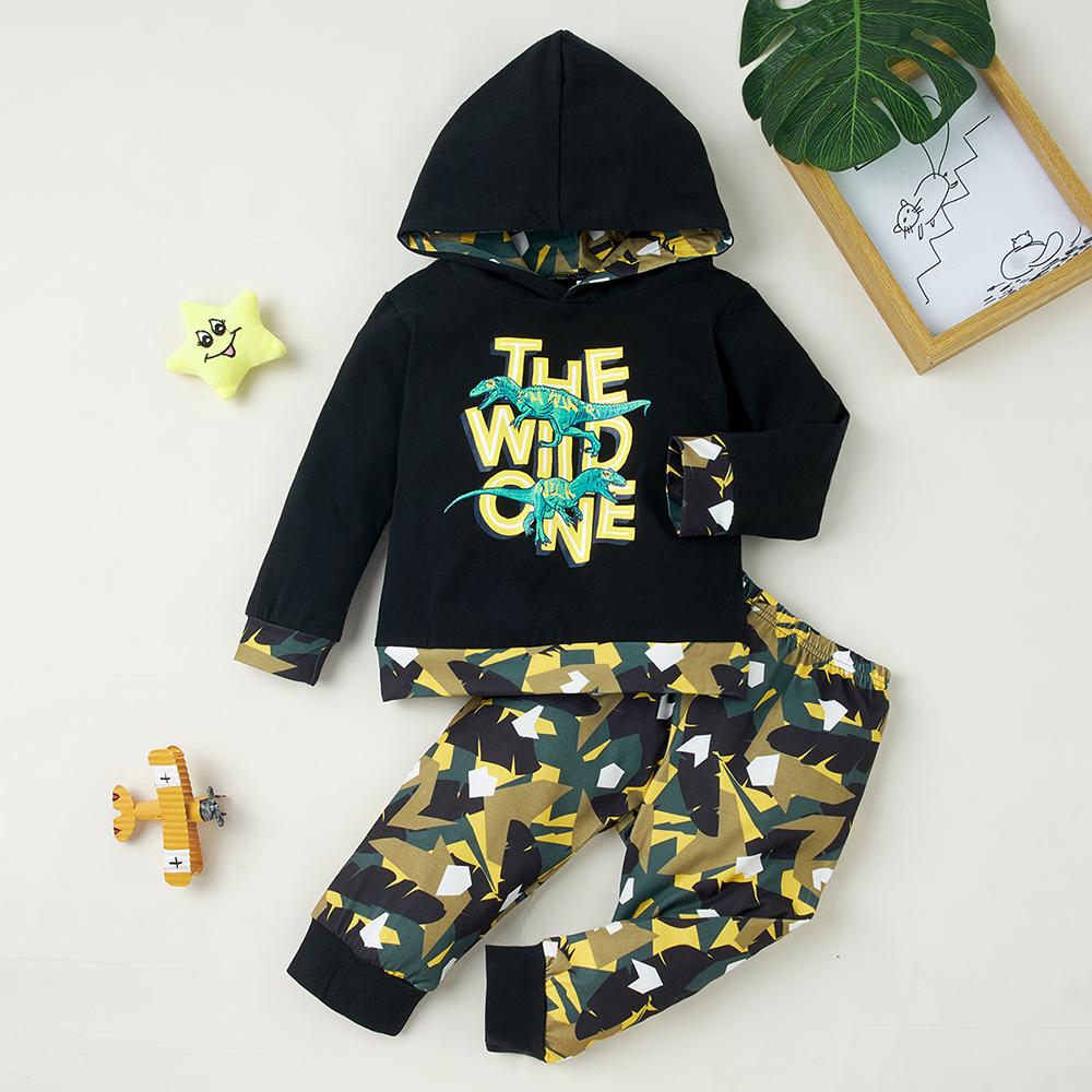 Baby Boys Wild Dino Printed Hooded Top & Pants Baby Boy Dinosaur Clothes - PrettyKid