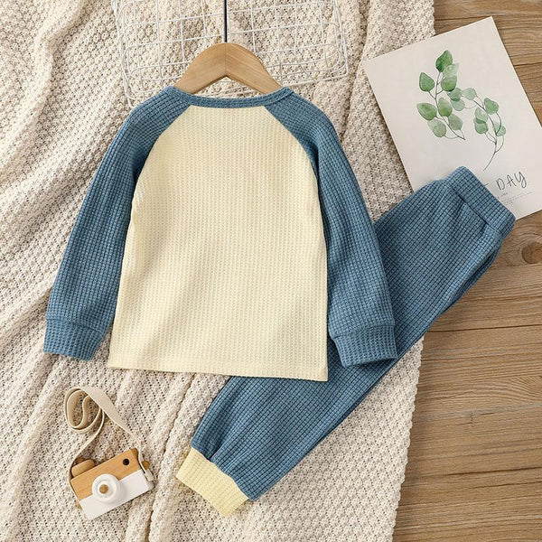 wholesale baby boy clothes Toddler Boy Color-block Knitted Waffle Sweater & Pants Wholesale Children's Clothing - PrettyKid