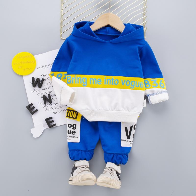 2-piece Color-block Hoodie & Pants for Toddler Boy Wholesale Children's Clothing - PrettyKid