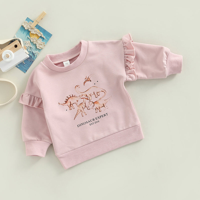 Wholesale Baby Round Collar Cute Dinosaur Printing Pullover sweater in Bulk - PrettyKid