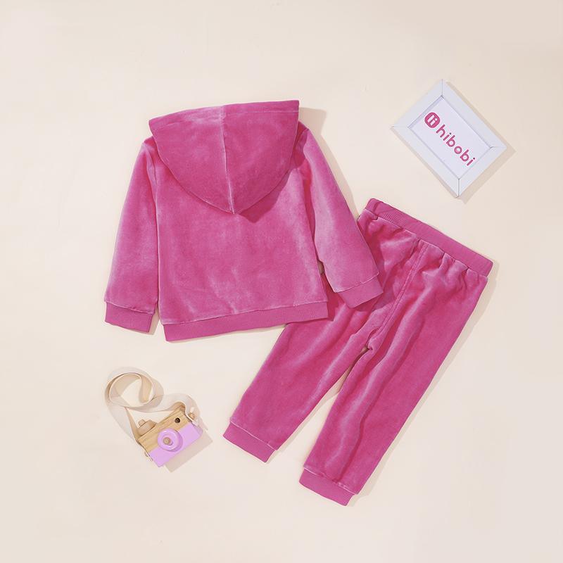 2-piece Velvet Hoodie & Pants for Toddler Girl - PrettyKid