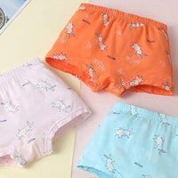 Toddler Boy 4pcs Rabbit Pattern Panties - PrettyKid