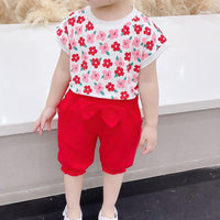 Toddler Girl Floral Print Top & Bowknot Pants - PrettyKid