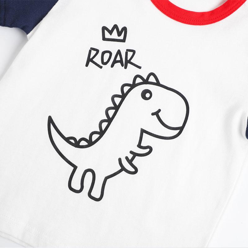 Toddler Boy Dinosaur Pattern Top & Crown Shorts Wholesale Children's Clothing - PrettyKid