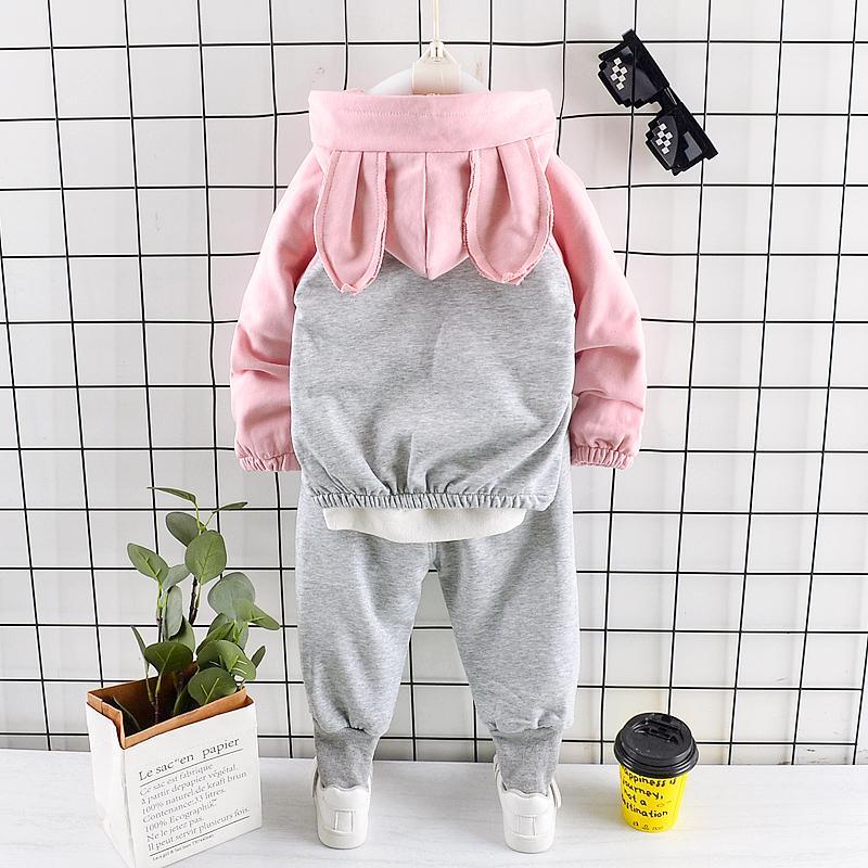 2-piece Hoodie & Pants for Toddler Girl - PrettyKid