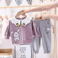 Toddler Girls Rabbit Printed Long Sleeve Top & Pants Girls Clothing Wholesale - PrettyKid